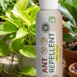 Bottle of herbal spray next to indoor plants showing it is eco-friendly.