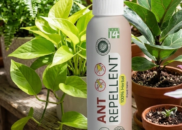 Bottle of herbal spray next to indoor plants showing it is eco-friendly.